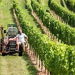 Weingut-gaestezimmer Uhl