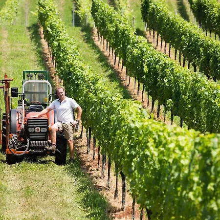 Weingut-gaestezimmer Uhl
