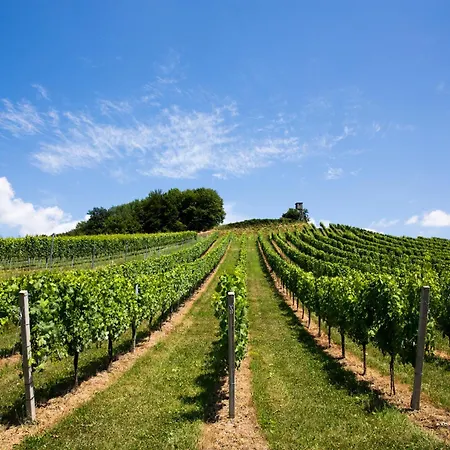 乡村民宿 Weingut-gaestezimmer Uhl