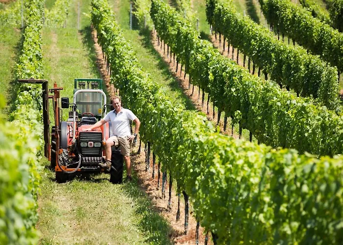 Weingut-gaestezimmer Uhl