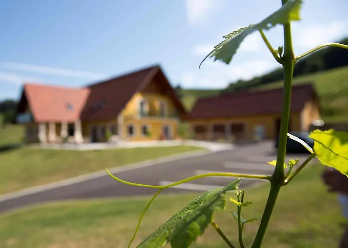 Weingut-gaestezimmer Uhl منزل ريفي Ratsch an der Weinstraße