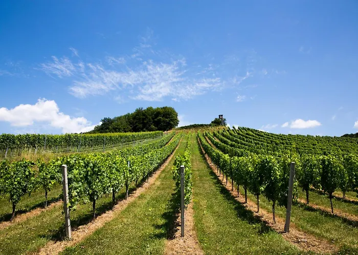 乡村民宿 Weingut-gaestezimmer Uhl